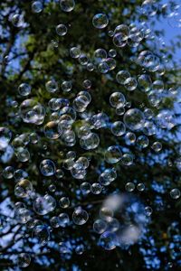 Close-up of water drops on plant