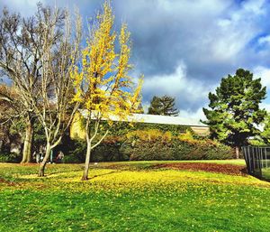 Scenic view of field against cloudy sky