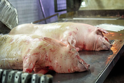 Pork carcasses are processed at the factory. meat production. a place where pigs are killed