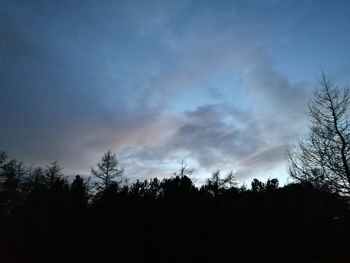 Low angle view of silhouette trees against sky