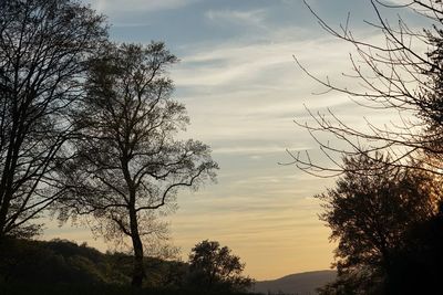 Low angle view of silhouette trees against sky during sunset