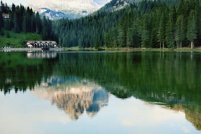 Scenic view of lake in forest