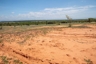 Scenic view of field against sky