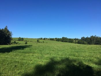 Scenic view of landscape against clear blue sky