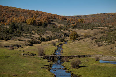 Scenic view of stream amidst trees against clear sky. tejera negra,  guadalajara, spain