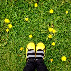 Low section of man standing on grassy field