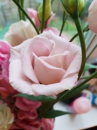 Close-up of pink rose bouquet