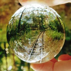 Close-up of person holding ball