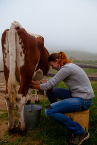 Girl at work milking a cow on a farm