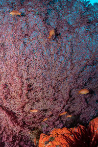 Full frame shot of rock in water