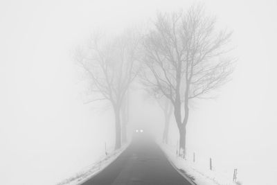 Snow covered road amidst trees against sky during foggy weather