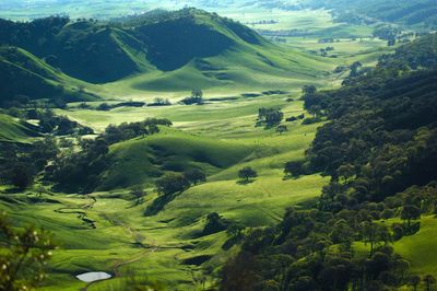 Scenic view of field and hills