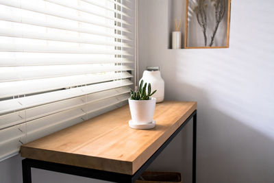 Potted plant on table by window at home