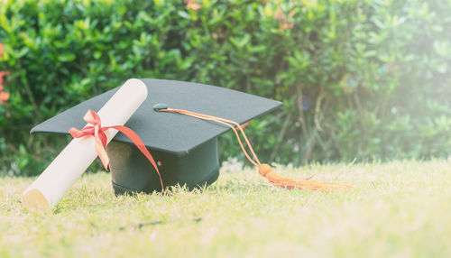 Close-up of mortarboard and diploma on grassy field