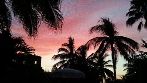 Silhouette palm trees against sky at sunset