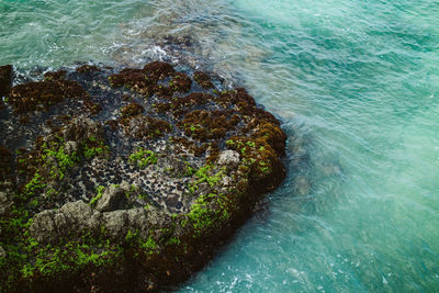 High angle view of sea shore