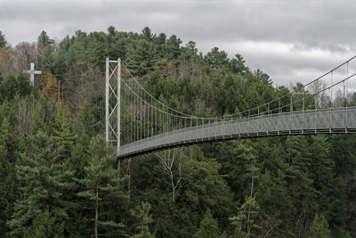 View of bridge against trees