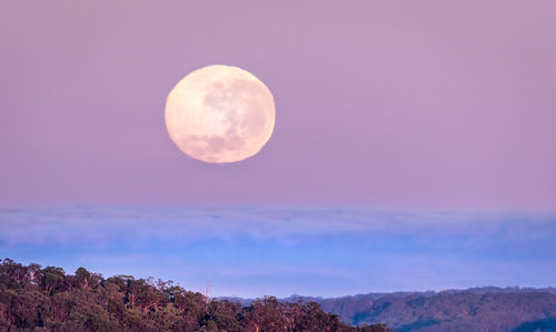 Low angle view of moon in sky