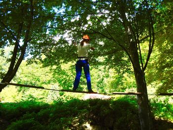 Low angle view of man standing in forest