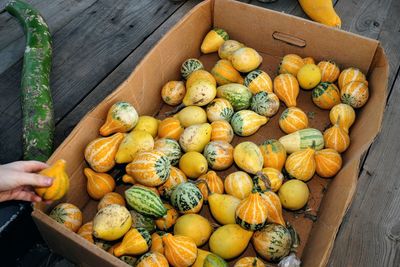 High angle view of squashes on cardboard box