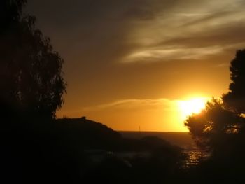 Silhouette trees on landscape against orange sky