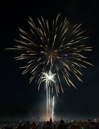 Low angle view of firework display at night