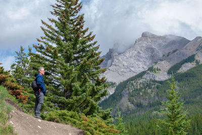 Man amidst plants and mountains against sky