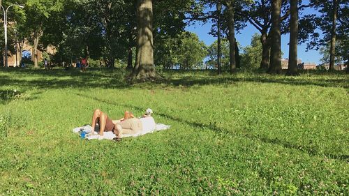 People lying down on grassy field