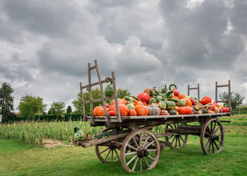 Kürbis wagon