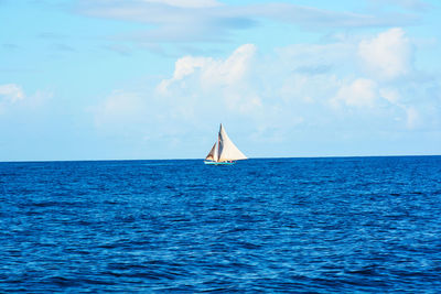 Sailboat sailing in sea against sky