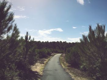 Road amidst trees against sky