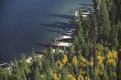 High angle view of plants by sea
