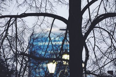 Low angle view of bare trees against sky