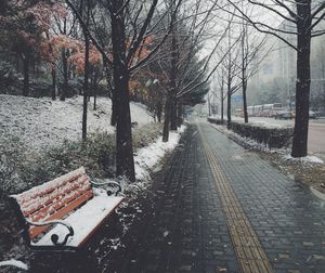 Empty road along trees