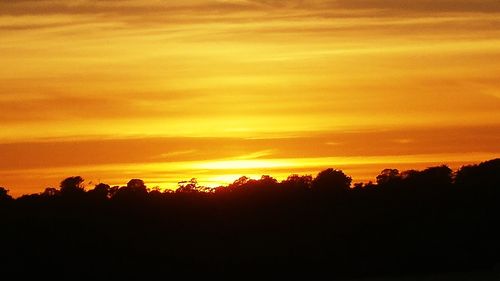 Silhouette trees against dramatic sky during sunset