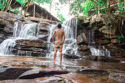 Rear view of shirtless man standing by waterfall in forest