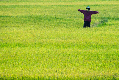 View of scarecrow on field