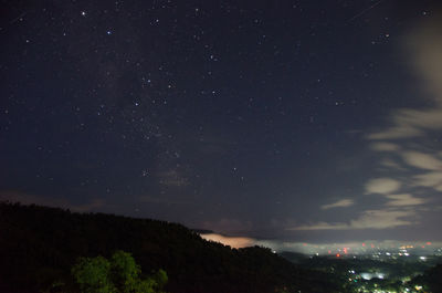 Low angle view of trees against sky at night