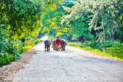 People walking on road in city