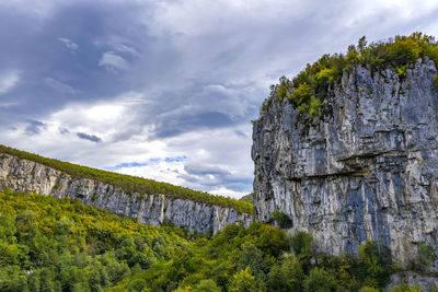 Low angle view of plants growing on rock against sky