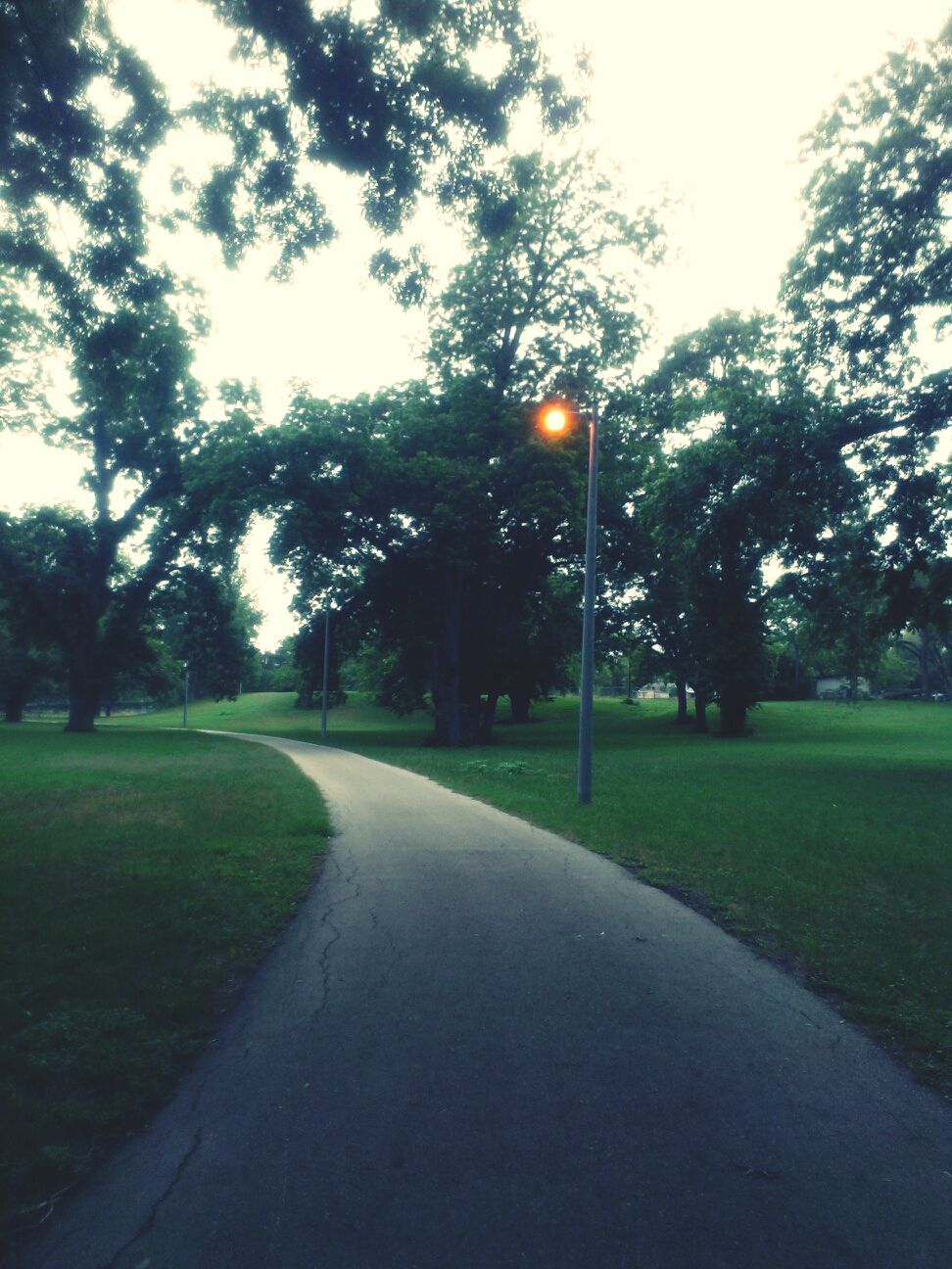 Walking trail