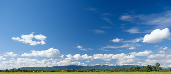 Scenic view of landscape against blue sky