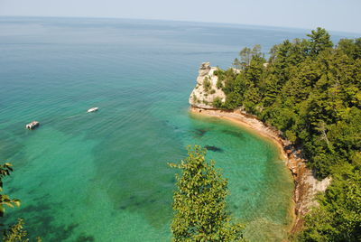 High angle view of trees on rock formation by sea