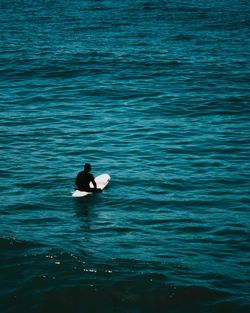 High angle view of ducks swimming in sea