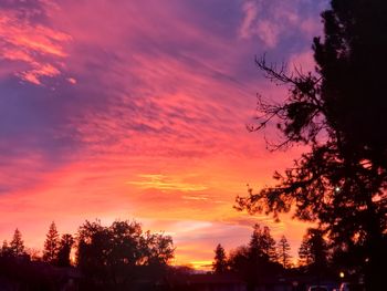 Low angle view of silhouette trees against orange sky
