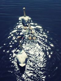 View of water in water