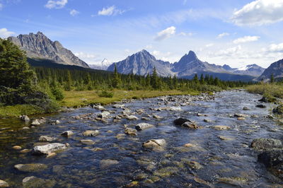 Beautiful canadian mountains