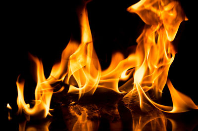 Close-up of bonfire at night