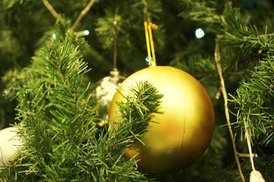 Close-up of christmas decoration on tree