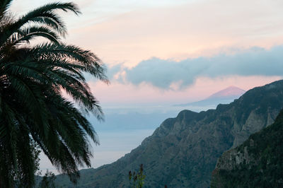 Scenic view of palm trees and mountains against sky during sunset